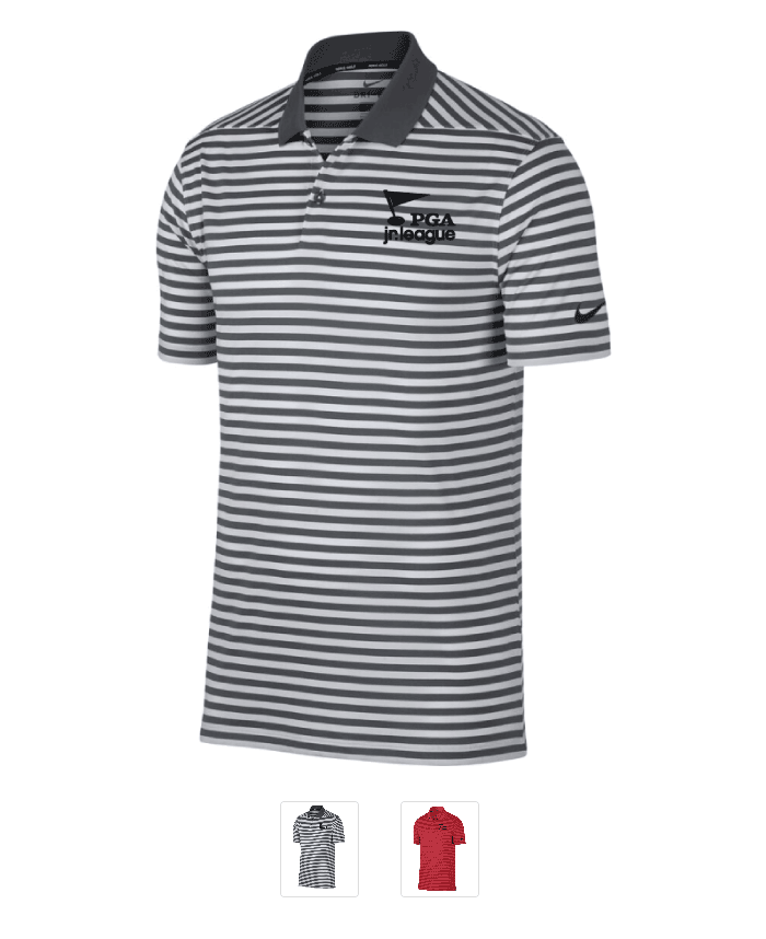 Men's Nike Dry Victory Stripe Polo